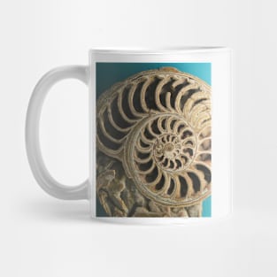 Ammonoid. Sedgwick Museum of Earth Sciences. Cambridge, UK Mug